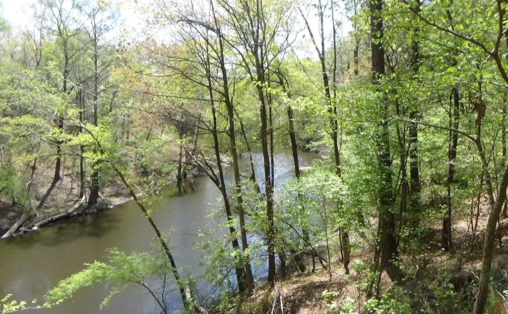 Photo of a wide creek in a deep valley with thin trees in the foreground and a flatter bank on the far side
