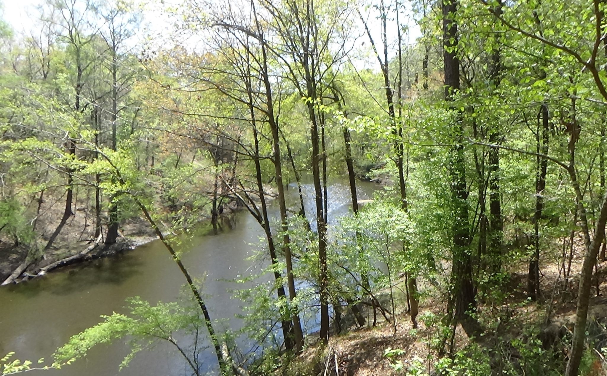 Moore’s Campsite American Revolution Tour of N.C.