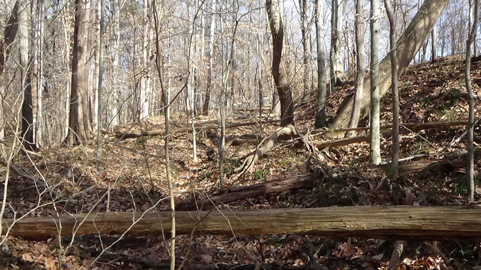 Battle of Lindley’s Mill American Revolution Tour of N.C.