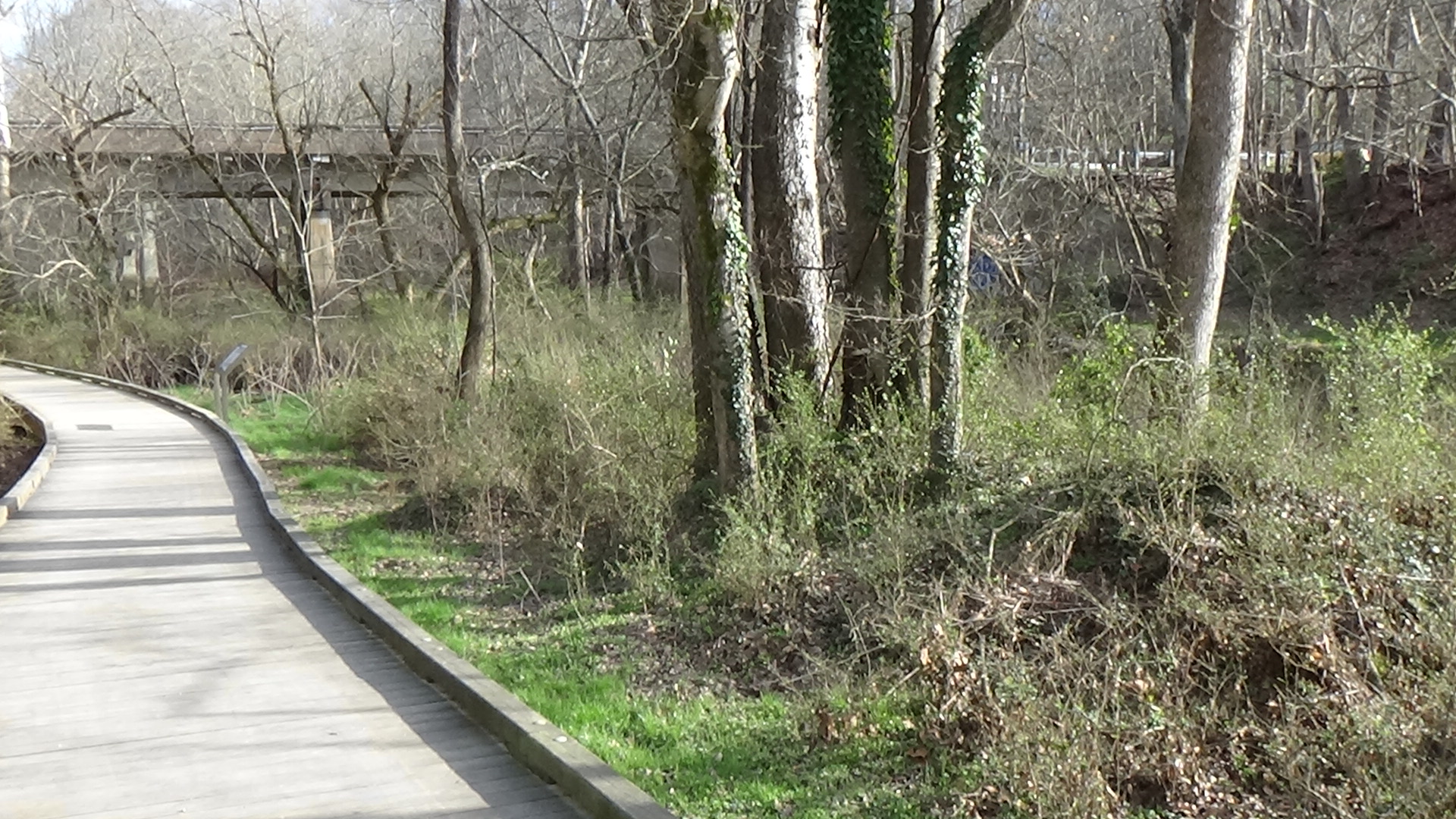 Photo of a raised wooden trail through woods, with a road bridge crossing a narrow river in the background