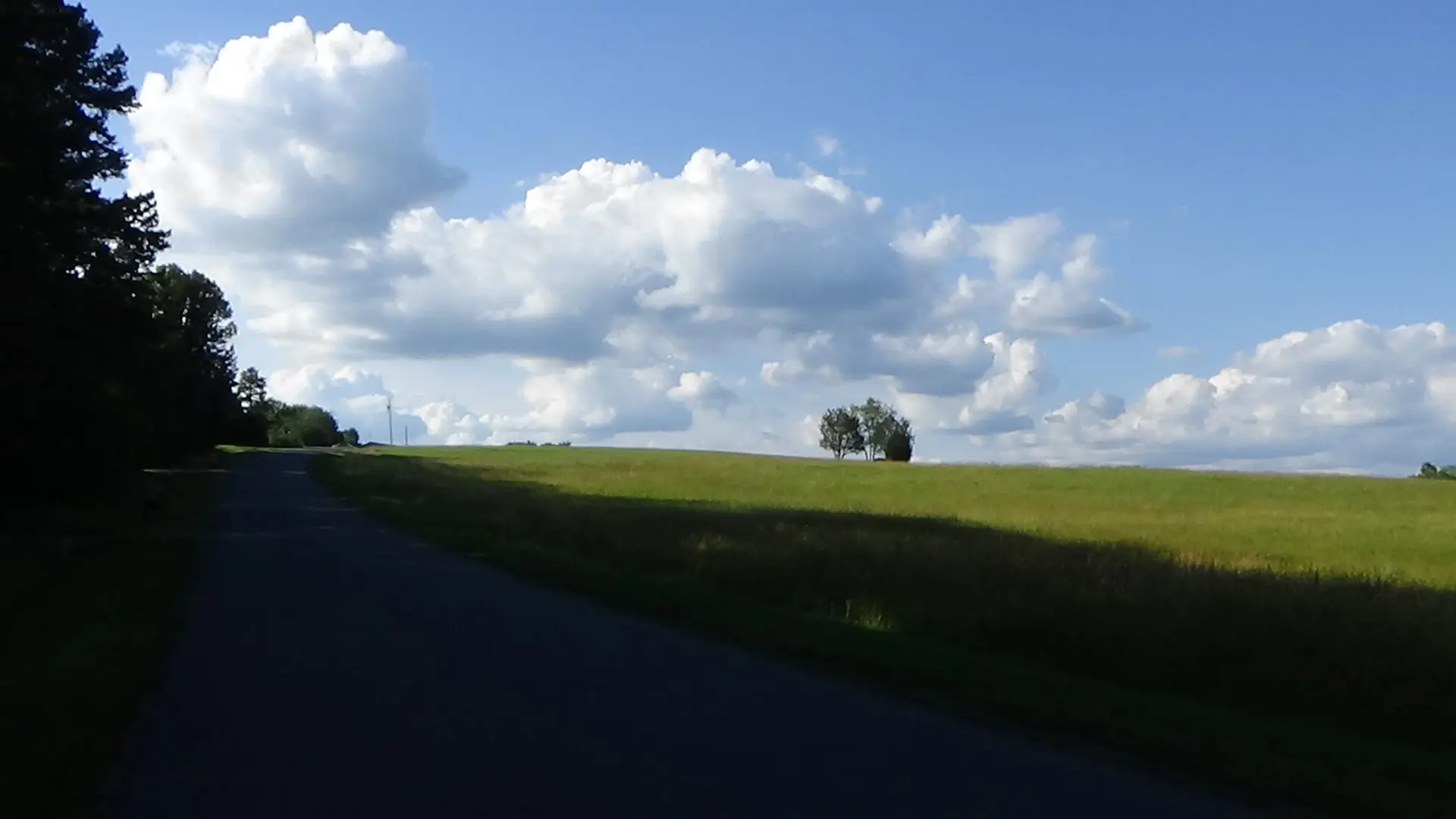 Photo looking up a grassy hill with a few trees clustered near the top