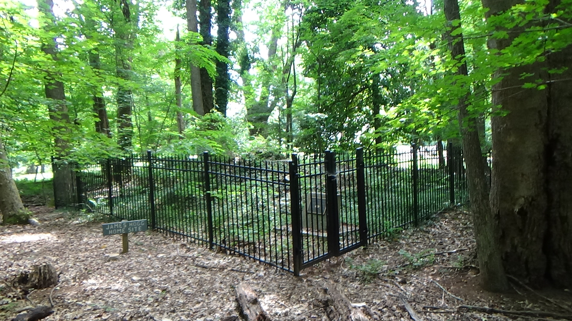 Photo of a cabin-sized square of iron fencing in woods with a pile of stones, a small monument, and bushes in the middle