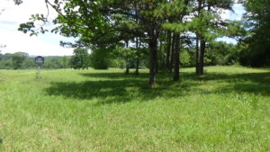 Photo of a large grassy area with a stand of trees in the middle, more on the border, and a black metal sign on the left