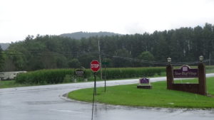 Photo of an intersection of two rural two-lane roads, with corn on the far side, taken on a rainy day