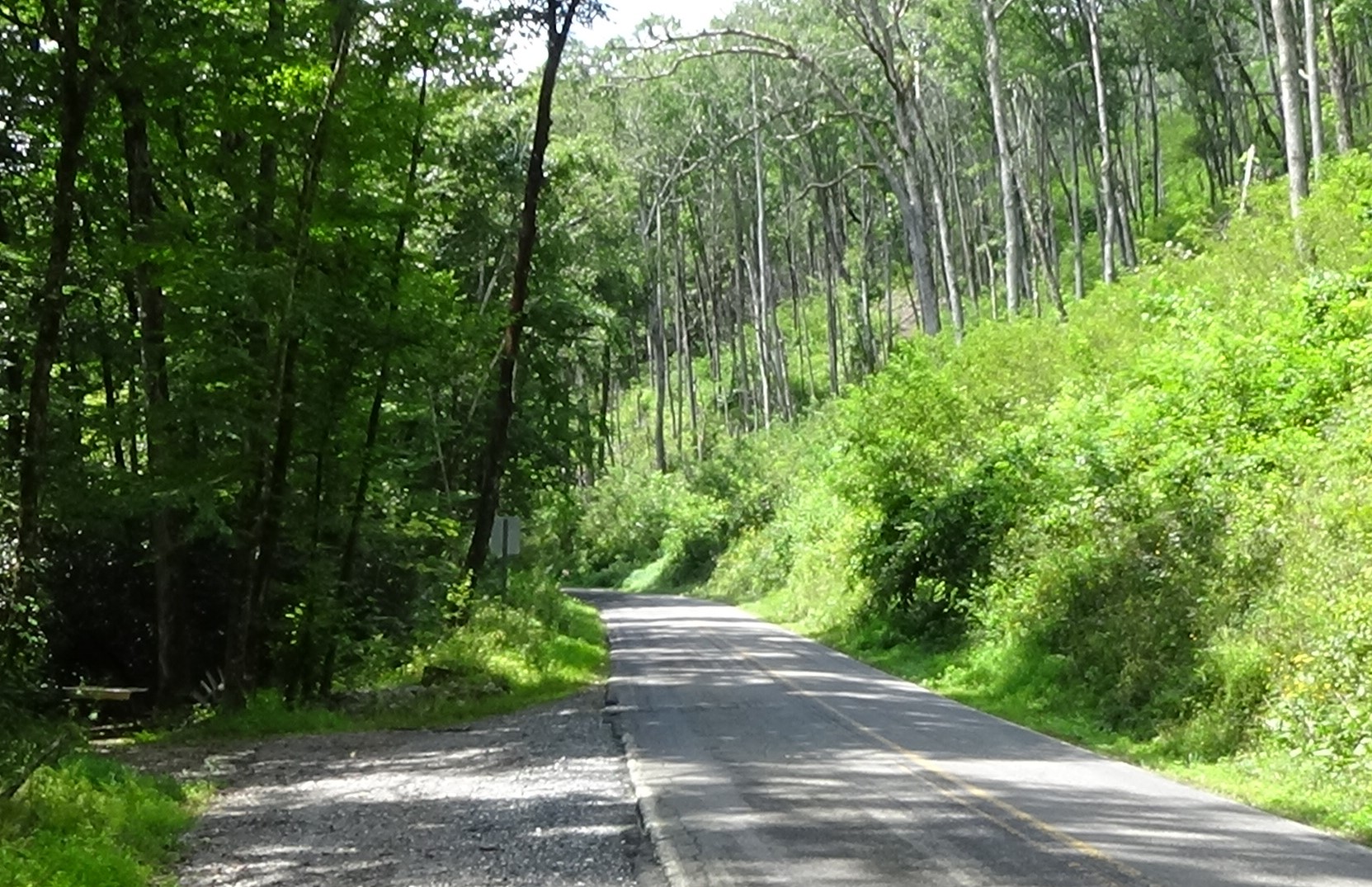 Photo of the two-lane road with trees on the left, and a sharply rising, bushy slope on the left topped by woods in background