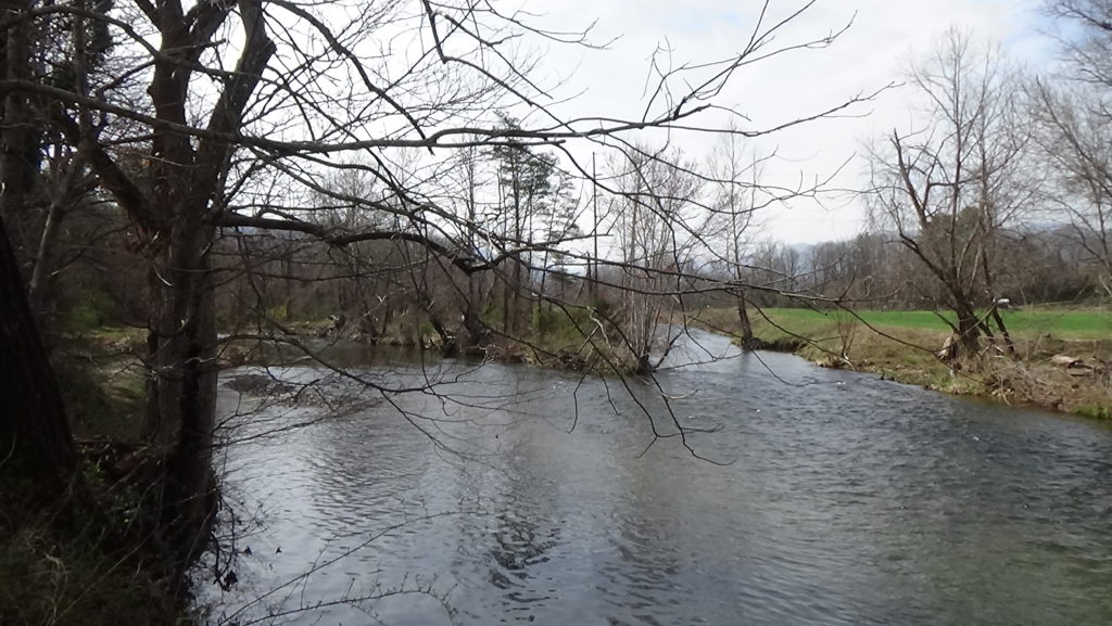 Photo of the end of a low, tree-covered island in a river with a field on the far side.