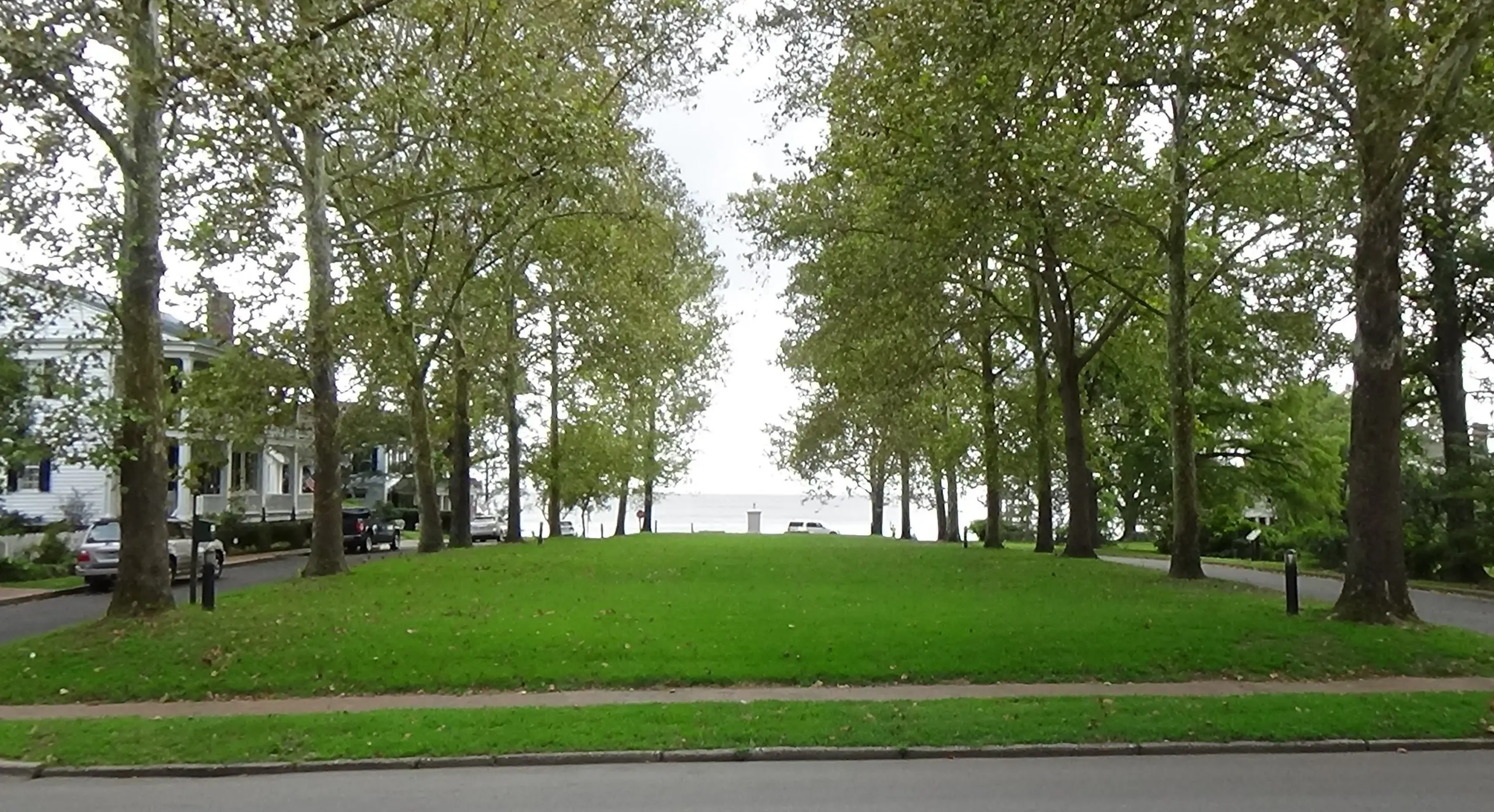 Photo of a grassy square with trees