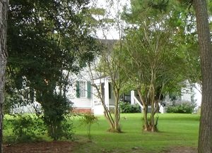 Photo of white two-story home obscured by trees