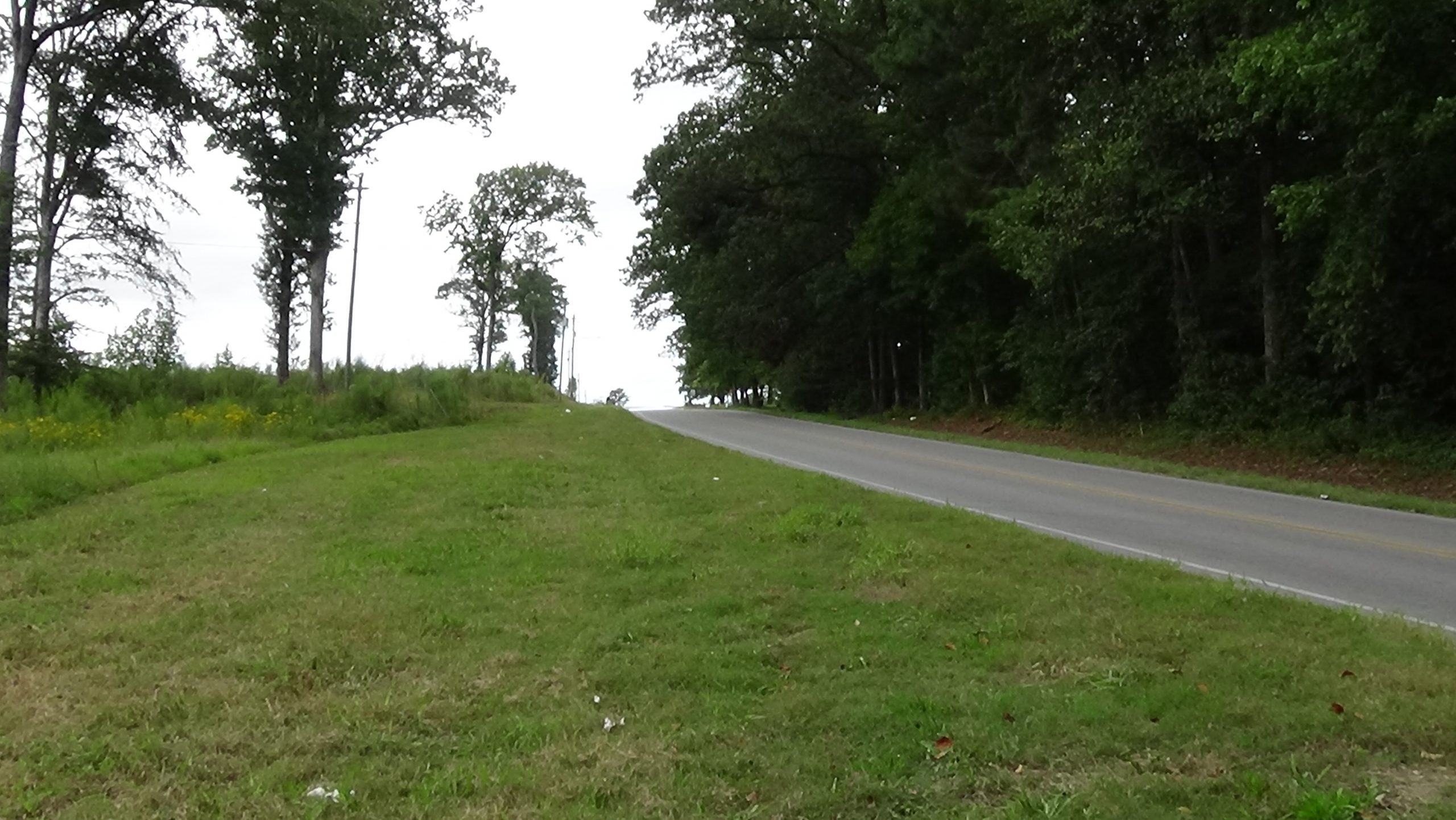 Photo of a rural road coming downhill past trees on the left and grass on the right