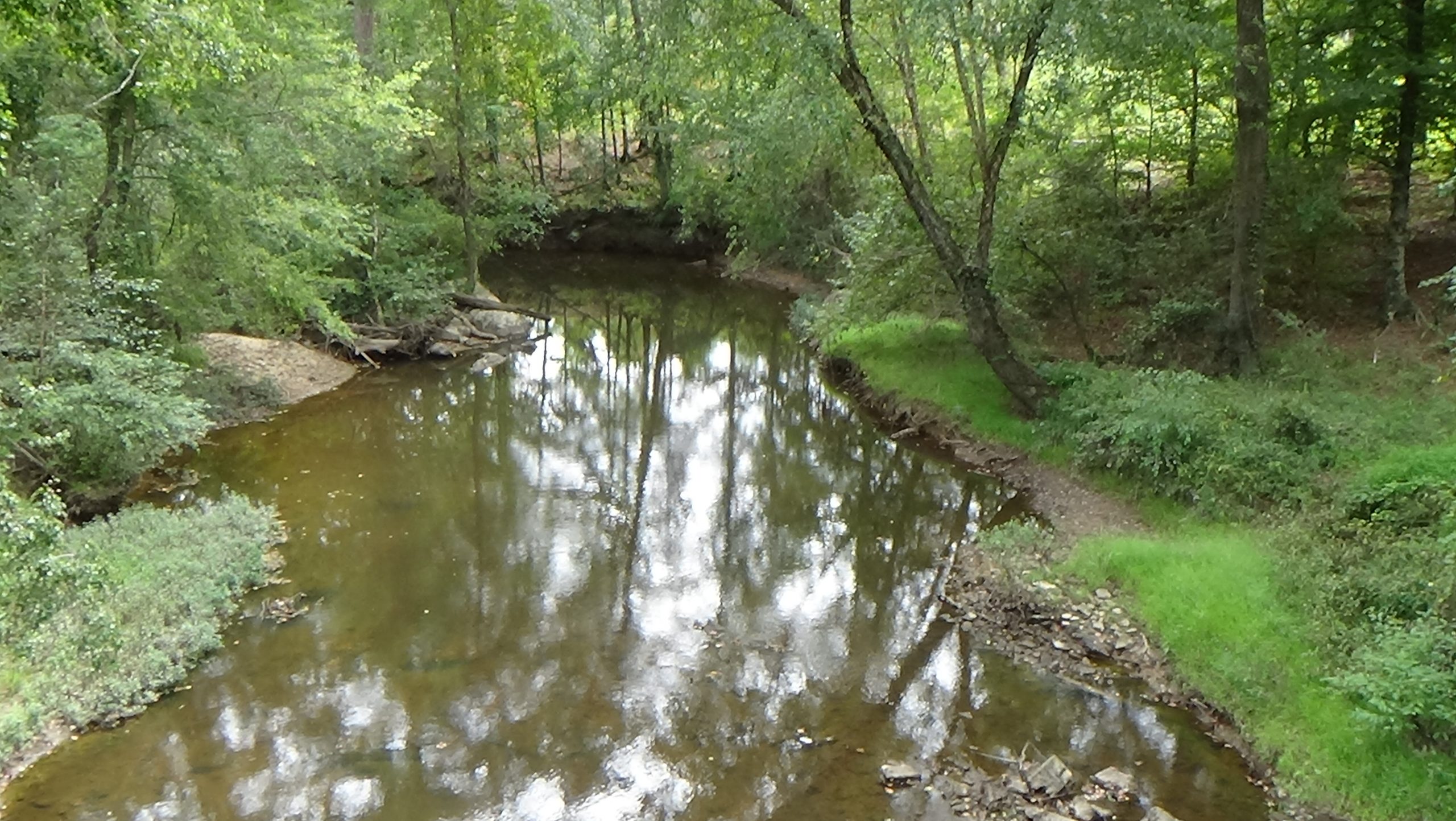 Photo of the creek reflecting light coming through the trees on both sides
