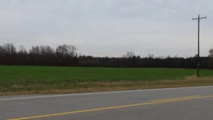 A grass-covered farm field across a road with trees lining the back