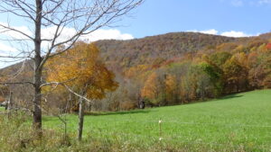 Photo of a mountain above a grassy field