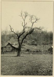 Old black and white photo of a house with an A-shaped roof below a wooded hill