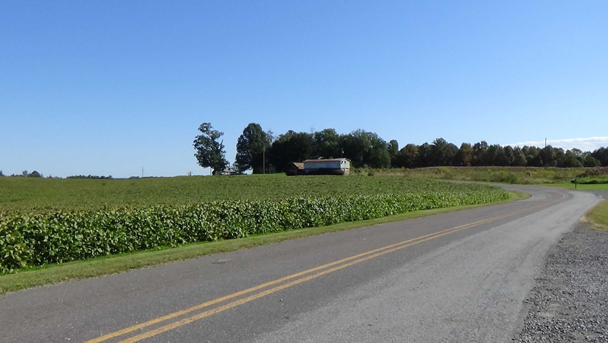 Photo of a road running to the right in front of a farm field, then curving left toward a home and trees in the background