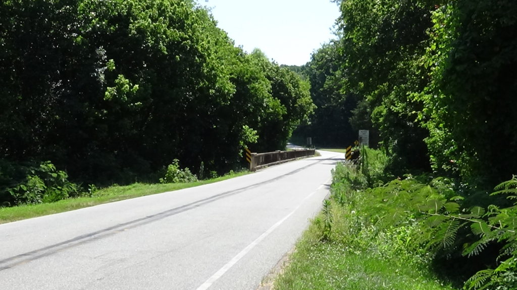Photo of a two-lane road across a flat bridge with thick trees on both sides