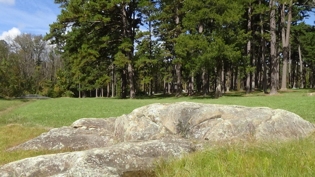 Photo of a low, wide gray boulder sticking out of grass