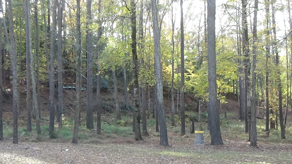 Photo of a forested slope coming down from the left toward flat ground