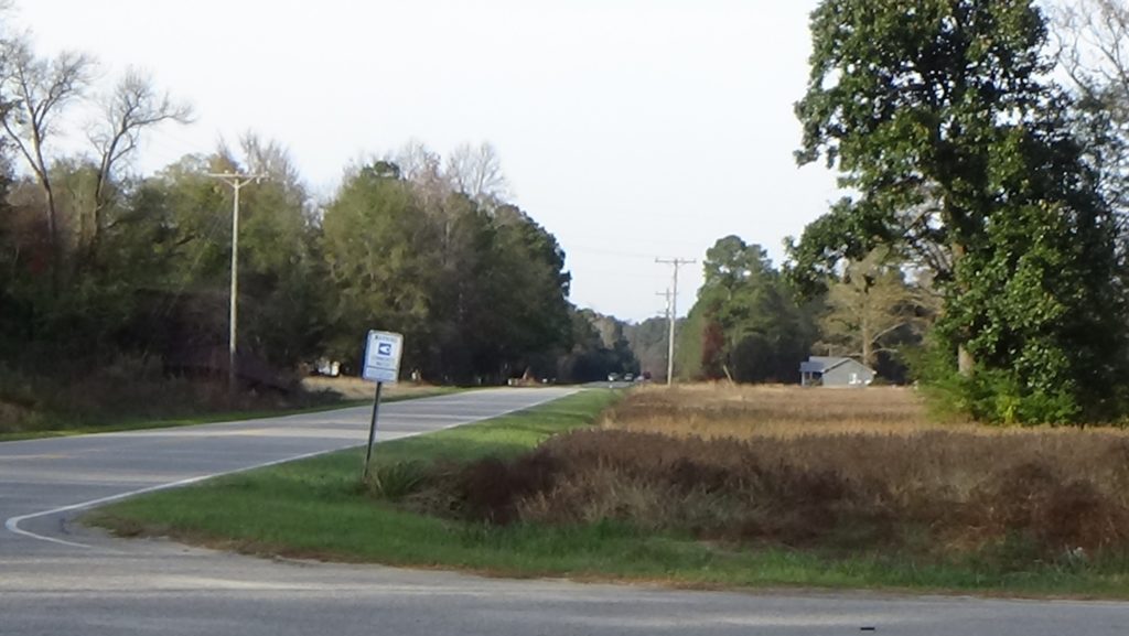 Photo looking up a rural two-lane road past a field and between trees