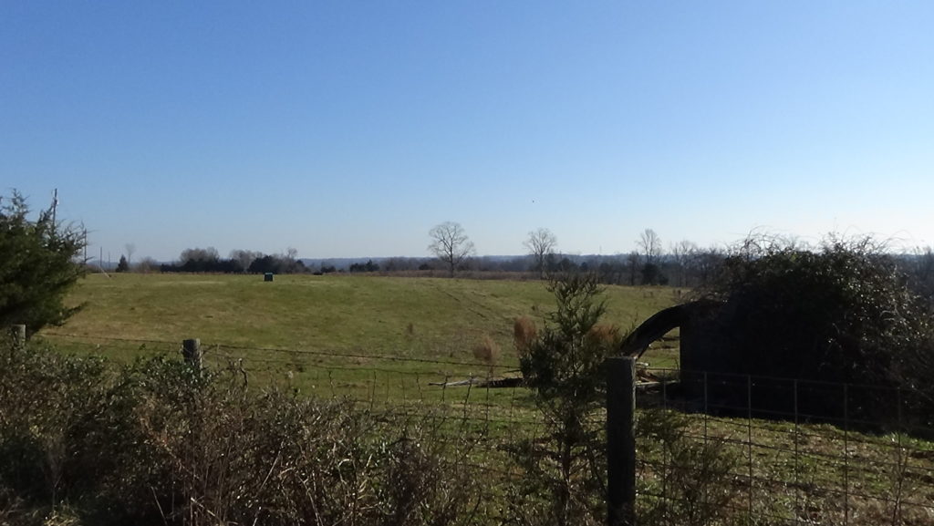 Photo of a rolling cow pasture behind a fence with a low line of trees behind