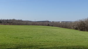 Photo of a grass-covered field with trees behind it and farm buildings beyond them on the horizon