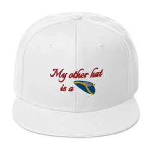 Tricorn Cap, White