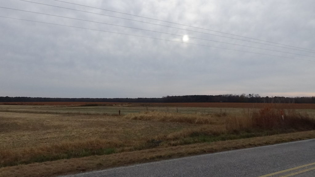 Photo of an unplanted farm field with trees in the distant background, under an overcast sky with the sun hanging low