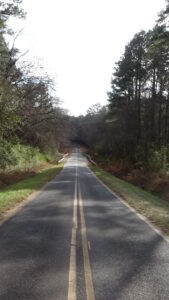 Photo of a two-lane road running downhill through woods across a small bridge