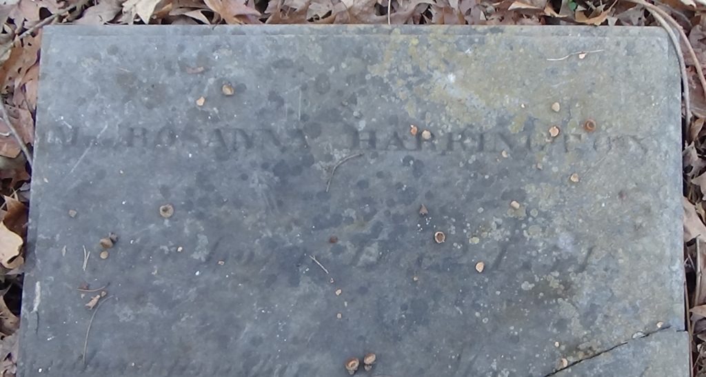 Photo of a flat tombstone