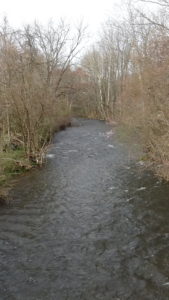 Photo of a wide stream rushing through leaf-less bushes and trees