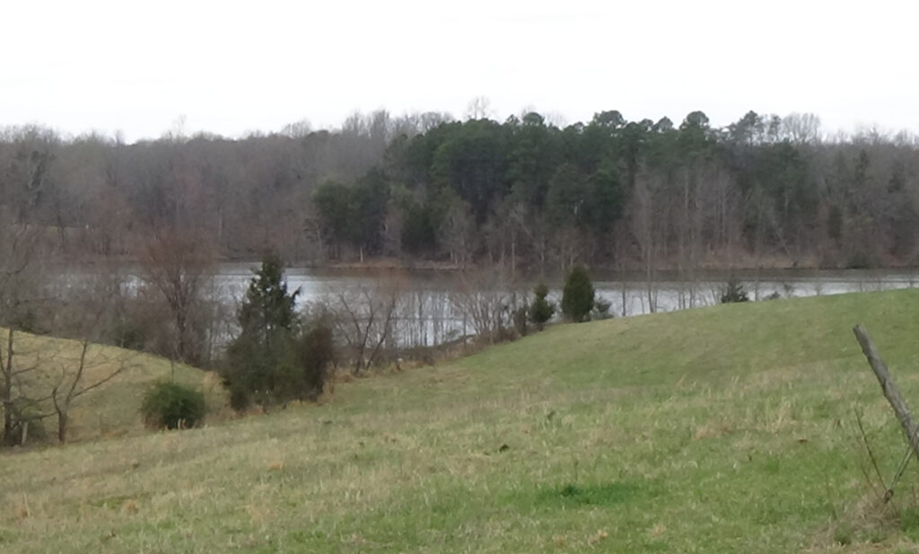 Photograph looking down a grassy hill to a narrow, curving lake with trees along the far shore