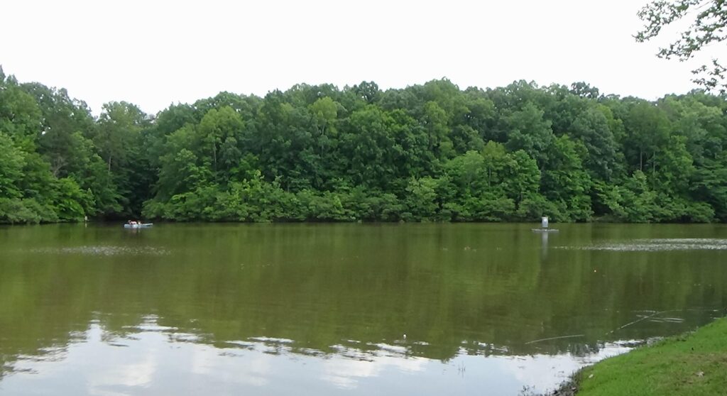 Photograph of a narrow section of lake with trees in the background