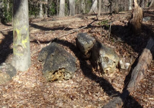 Photo of several large black rocks grouped together with trees in the background